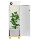 Hey abby Automated Grow Box 420 Edition - HEY-420-3